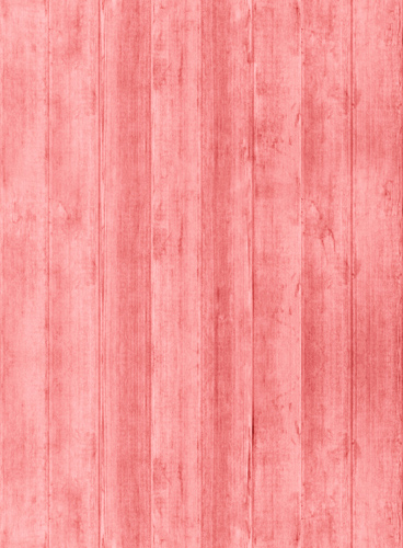 网站攻击工具手机版